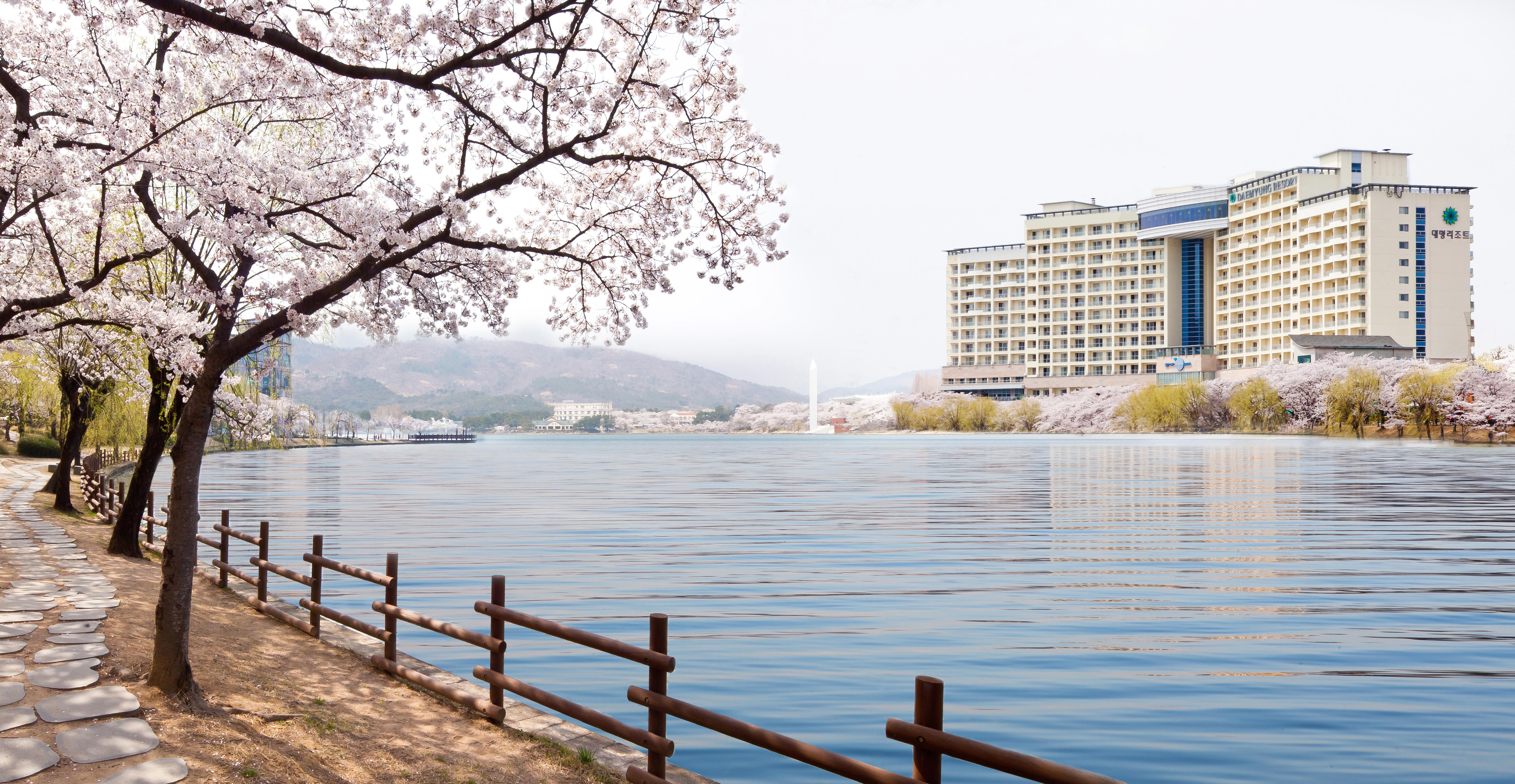 Sono Belle Gyeongju Hotel Exterior photo